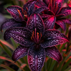 Лилейник Вояж купить по цене от 699р. в интернет-магазине «Посадика» с доставкой почтой в в Нальчике и по всей России – [изображение №1].